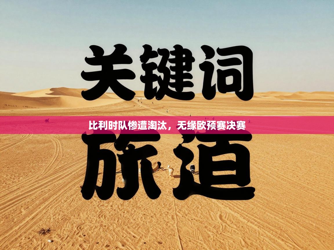 比利时队惨遭淘汰，无缘欧预赛决赛  第2张