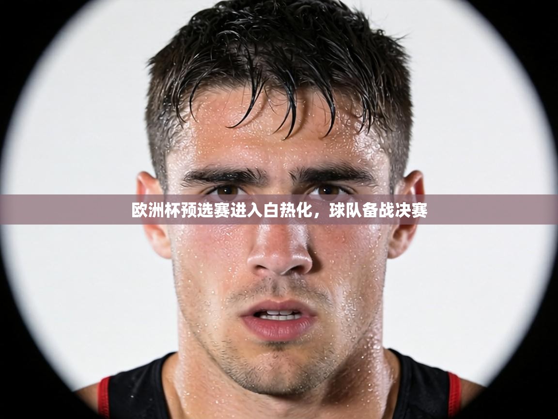 欧洲杯预选赛进入白热化,球队备战决赛 第2张